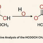HCOOCH₃ + H₂O